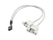 Unique BargainsMotherboard USB2.0 9Pin Header to 2 Ports A Female Adapter Cable 34cm Length