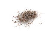 Global Bargains 1000pcs 1/4W 2K Ohm 5% Axial Lead Electrical Components Carbon Film Resistor Global Bargains 1000pcs 1/4W 2K Ohm 5% Axial Lead Electrical Components Carbon Film Resistor