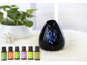 ZAQ Lucent Black Portable Aromatherapy Essential Oil Fan Diffuser With Essential Oils 6 Pack , 15ML (Eucalyptus, Lavender, Lemon, Orange, Peppermint, Tea Tree) ZAQ Lucent Black Portable Aromatherapy Essential Oil Fan Diffuser With Essential Oils 6 Pack , 15ML (Eucalyptus, Lavender, Lemon, Orange, Peppermint, Tea Tree)