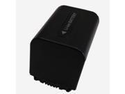 Superb Choice® Camcorder Battery for Sony NP FV70