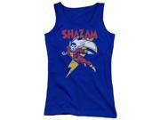 Trevco Dc Lets Fly Juniors Tank Top Royal Small
