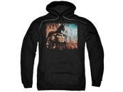 Trevco Arkham City City Knockout Adult Pull Over Hoodie Black Small