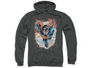 Superman Within My Grasp Mens Pullover Hoodie