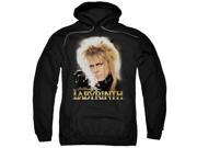 Labyrinth Jareth Mens Pullover Hoodie