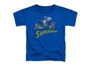Jla Superman Rough Distress Little Boys Toddler Shirt
