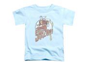 Dc Stepping Out Little Boys Toddler Shirt