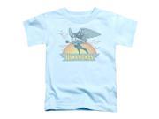 Dc Hawkwoman Little Boys Toddler Shirt