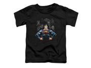 Superman Villains Little Boys Toddler Shirt
