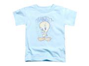 Looney Tunes Tweety Fade Little Boys Toddler Shirt