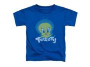 Looney Tunes Tweety Swirl Little Boys Toddler Shirt
