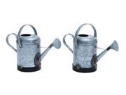 Assorted Metal Galvn Water Can With Rust Design Set Of 2 38162