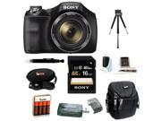 Sony Cyber shot DSC H300 Digital Camera with Rechargeable NiMH AA Batteries and 16GB SDHC Accessory Bundle Black