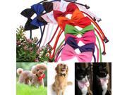 5X Colour Fashion Pet Dog Cat Toy Kid Cute Adjustable Ribbon Bowtie Collar Necktie Clothes
