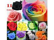 50Pcs Rare Rainbow Rose Flower Seeds Your Lover Multi color Plants Home Garden