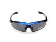 RockBros Polarized Goggles Cycling Glasses for Outdoor Sports Blue