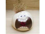 Acting Cute Face DIY Potted Grass Plants Mini Home Office Pot