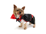 Vampire Cloak Halloween Coplay Costume Pet Dog Clothe Large