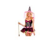 Music Legs Pink Spider Witch Costume Set 70273 Pink Xtra Small