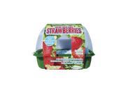 SG 0753 Grow Your Own Strawberries DUNX0753 DUNECRAFT INC.