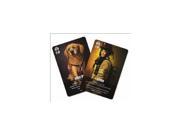 Flash Point Fire Rescue Veteran and Rescue Dog Accessory Pack IBCFPA1 Indie Boards Cards