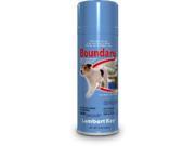 Lambert Kay Boundary Indoor Outdoor Dog and Cat Repellent Aerosol Spray 14 Ounce LK61104 LAMBERT KAY