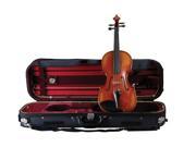 Guardian CV 050 Deluxe Professional Violin Case CV 050 Guardian Cases