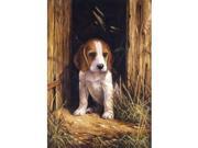 NYA PBN Beagle Puppy Junior Small RBMY2058 ROYAL LANGNICKEL BRUSH MFG INC.