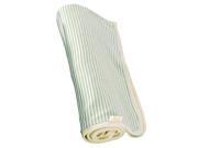Tadpoles Organic Cotton Double Layer Receiving Blanket Sage brbpio018 TADPOLES