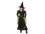 Child Wicked Witch Of The West Costume by Rubies 886489