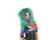 Adult Female Funny Lady Villain Wig by Party King WG682