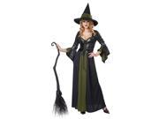 Adult Female Classic Witch Costume by California Costumes 01350