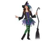 Child Festive Witch Girl Costume by California Costumes 00453