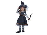 Toddler Crafty Little Witch Costume by California Costumes 172 00172