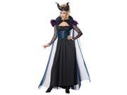Adult Storybook Sorceress Costume by California Costumes 01266