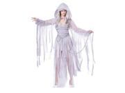 Adult Female Haunting Beauty Ghost Spirit Costume by California Costumes 01327