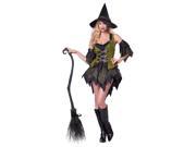 Adult Sexy Bewitching Babe Costume by California Costumes 01343