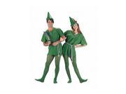 Adult Peter Pan Elf Costume Charades 88077