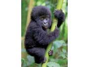 Mountain Gorilla Baby Card by Planet Zoo 1289