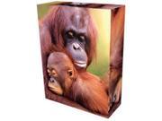 Orangutan Faces Boxed Notes