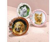 Dog Collar Photo Frame 3 x 3 by Two s Company 8149 20