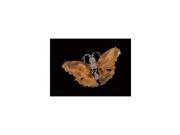 Amber Butterfly Pin Art 10974SP