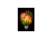 Clown Fish Nightlight by Ibis Orchid Design 50025