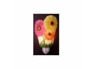 Gerber Daisy Night Light by Ibis Orchid 50031