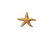 Inflatable Starfish AN STAR2
