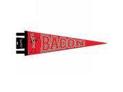 Bacon Pennant by Accoutrements 12510
