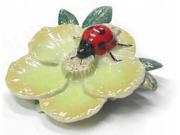 Ladybug on Flower R168