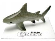 Galeos Tiger Shark LC938