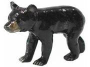 Black Bear Cub R017