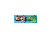 Frog Head Magnet Set of Two FG112