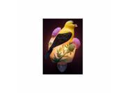 Goldfinch Nght Light by Ibis Orchid 50037